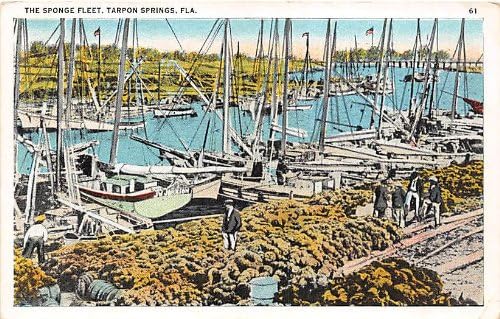 Tarpon Springs, Carte poștală din Florida