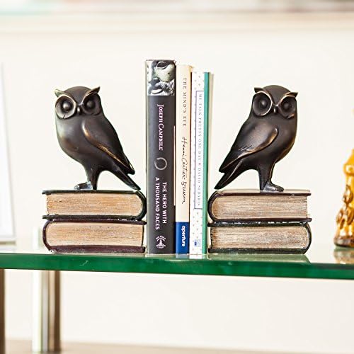 Danya B. Owl Bookends Decorative Rustic Bookshelf Decor-bufnițe Bookend Set pentru cărți grele-finisaj bronz