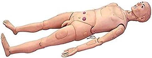 Model anatomic uman Simulator de îngrijire a pacientului multifuncțional PVC PVC Masculin și feminin de asistență medicală