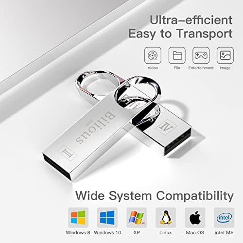 USB Flash Drive, Bilious Portable Keychain Design thumb Drives Bulk 5 Pack, Metal Style Memory Stick U Disk, impermeabil Jump