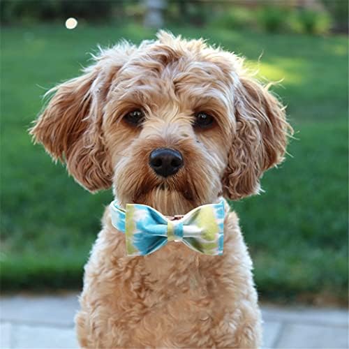 Guler de câine de bumbac hfdgdfk cu papion reglabil cravată pentru animale de companie guler albastru guler de câine pentru