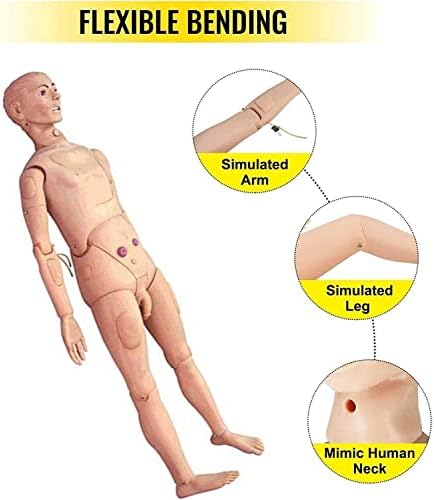 Tuozhe cu genitale interschimbabile Instruire CPR Simulator 5.57ft Dimensiune viață Îngrijire pacient Manikin pentru pregătire