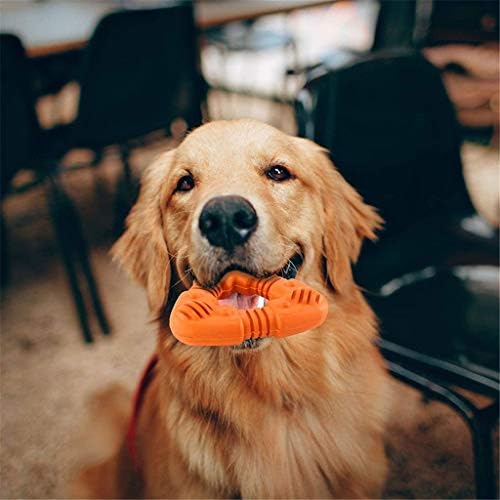 Slatiom Indestructibil pentru câini Chest Jucării Natural SAFE SAFE PUPBER PUPPY PUPPY PENTRU CHEWERS JOC JOC BUNURI PENTRU